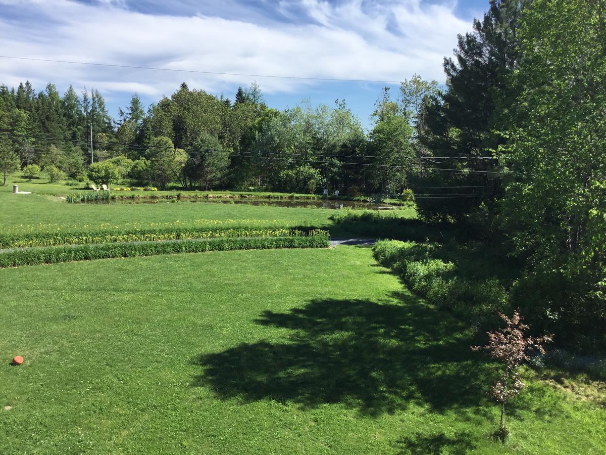 Auberge Taylor Manor Saint-Georges Exteriér fotografie